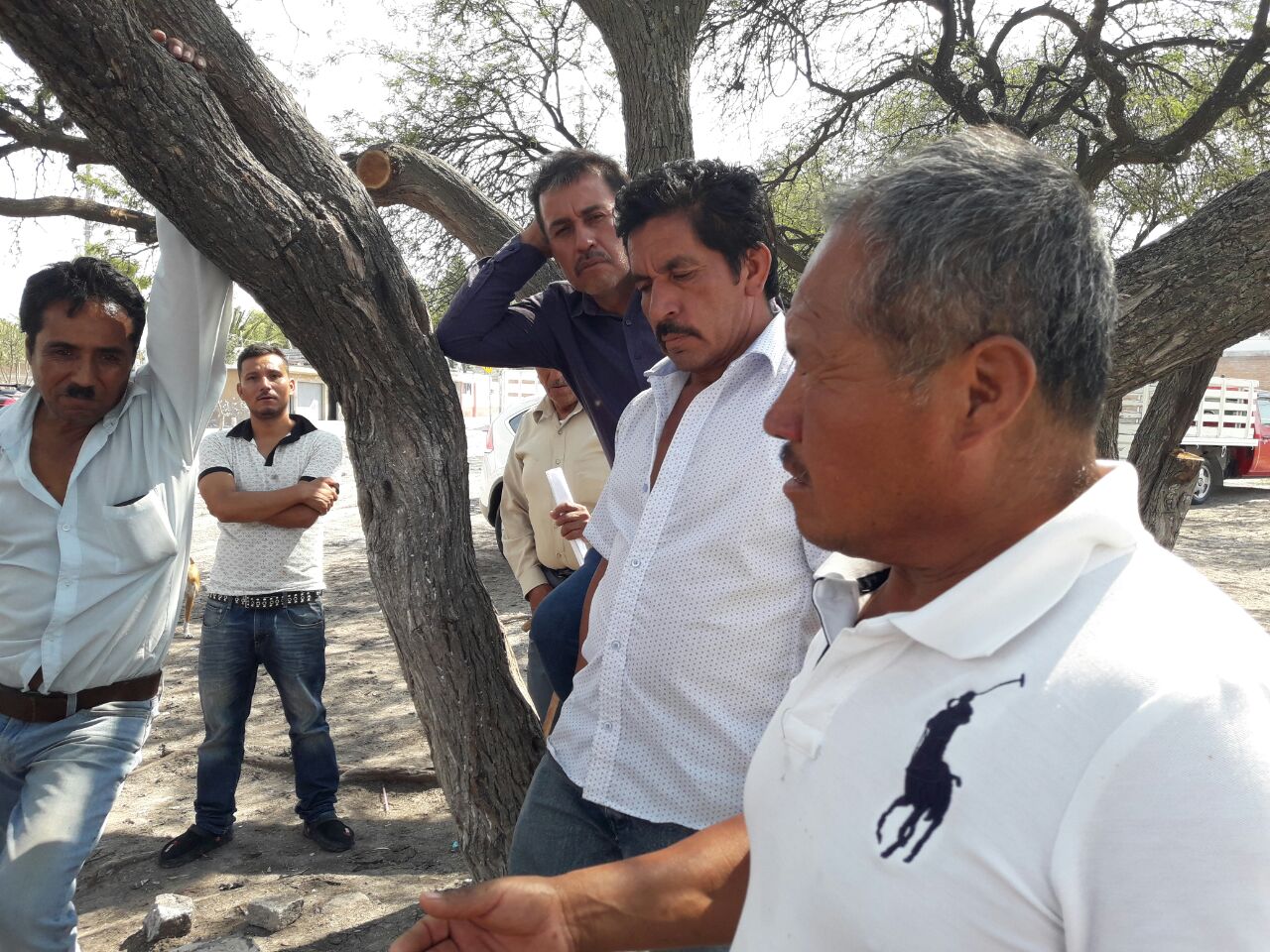 MELITÓN