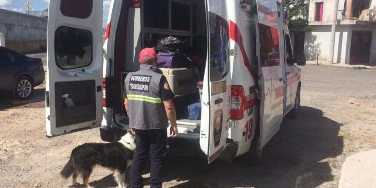 Binomio canino “Zorro” salva 4 vidas