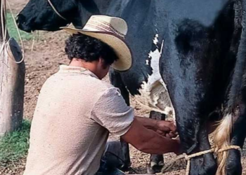 Urgen potenciar a proveedores nacionales