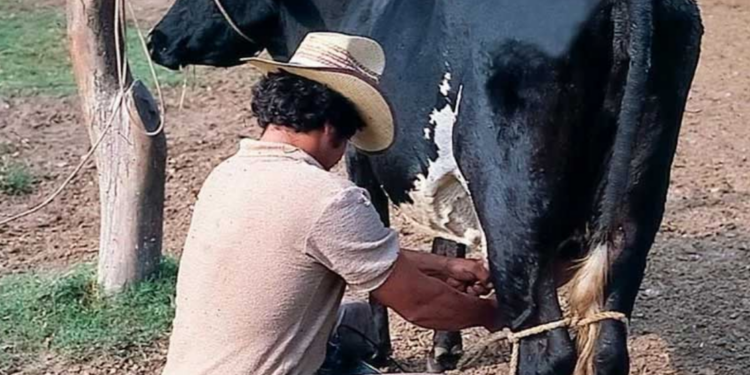 Urgen potenciar a proveedores nacionales