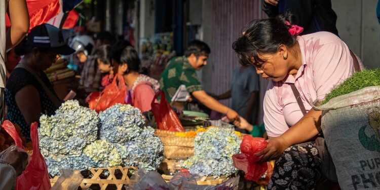 Remesas logran su mejor inicio de año desde 1995