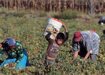 Predice IA retrasos para el comercio