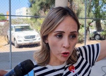 Fundación ALE suma mil 467 trasplantes apoyados