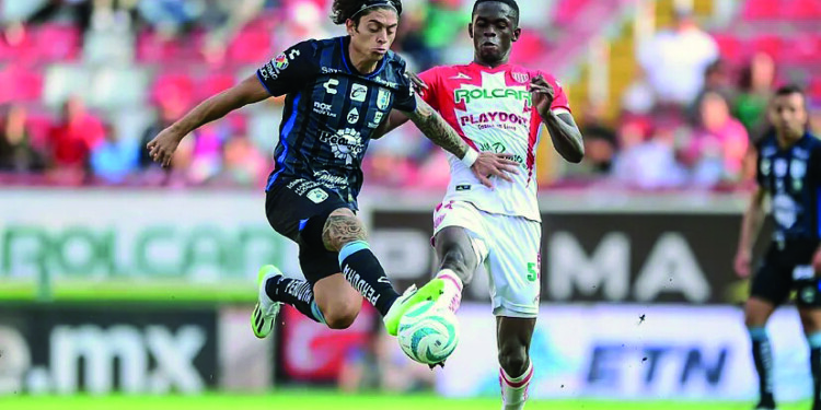 Los Gallos, listos para enfrentar al Necaxa