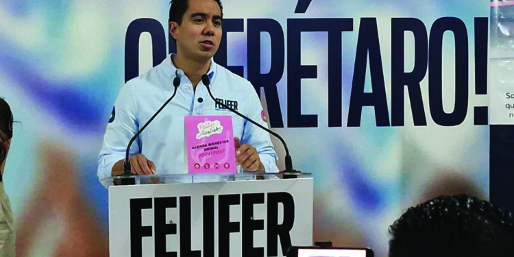 Gobierno abierto y cercano ofrece Felifer a capitalinos