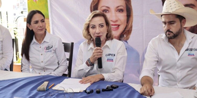 Gestionará Lupita Murguía tarifa reducida de luz para la Sierra