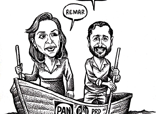 Al Senado