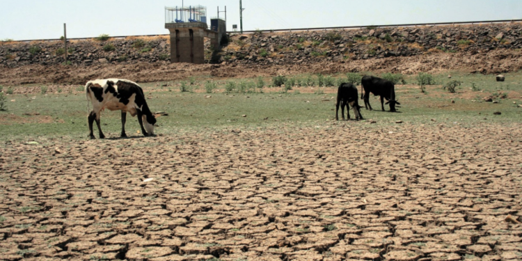 Gobierno ha invertido 35 mdp para enfrentar la sequía en el campo de Querétaro