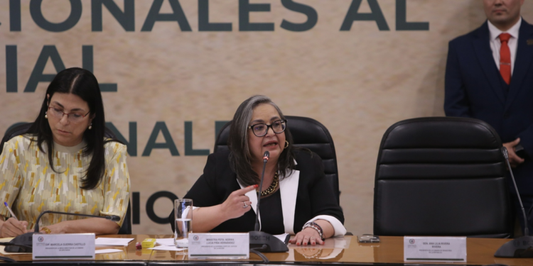 Pide Norma Piña crítica con sustento y veracidad