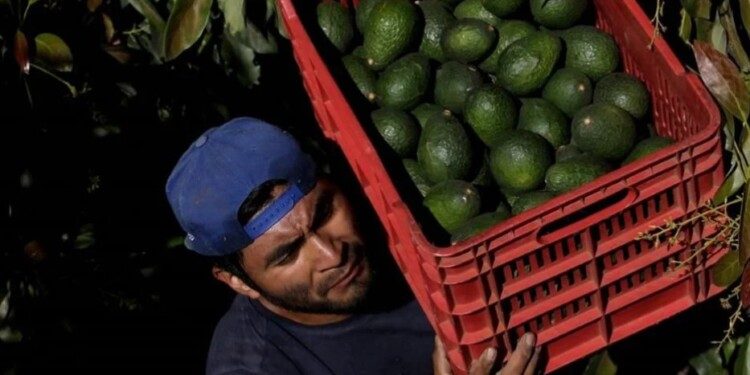 Enfila hacia costa ciclón tropical Uno