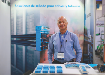 Clúster automotriz creció un 12%