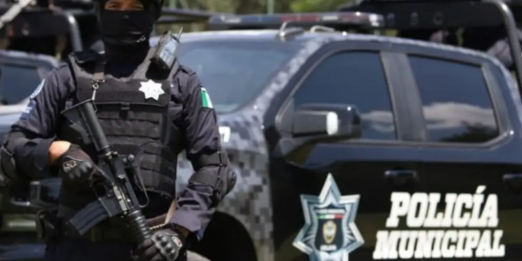 Han asesinado a 40 policías en Guanajuato en lo que va de 2024: SSPC