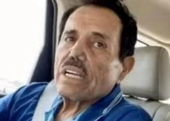 Mayo no se entregó y se declaró inocente, dice su abogado