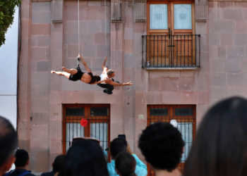 Regresan los Gallos a la actividad