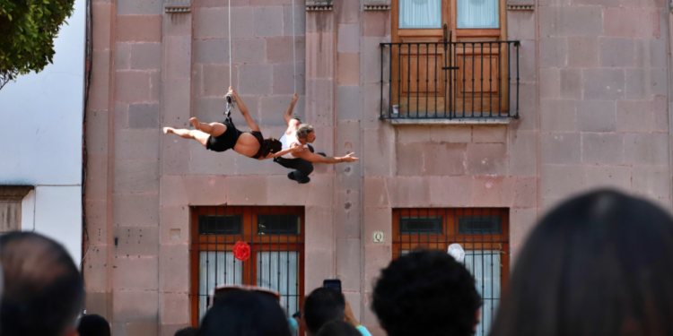 Regresan los Gallos a la actividad