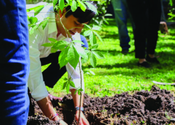 Querétaro en Coalición Under2 contra el cambio climático