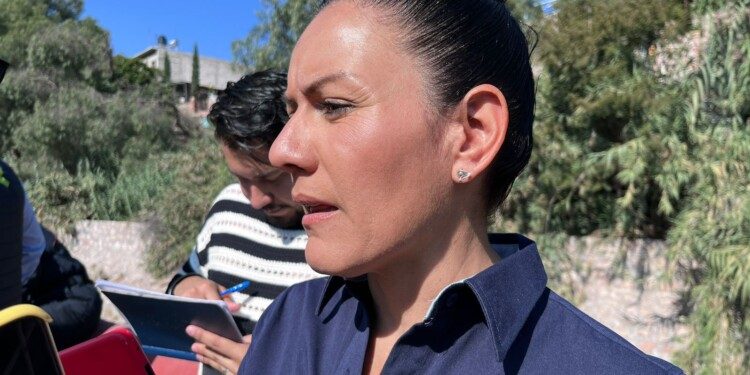 85 por ciento de avance en el Parque La Queretana