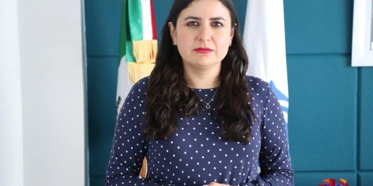 PAN apelará resolución de Sala Toluca, quien les quitó dos diputaciones locales: Leonor Mejía