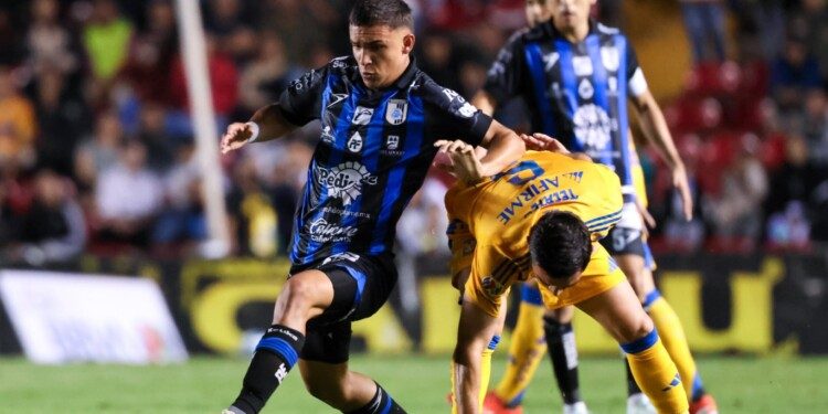 Gallos vence a Tigres y logran primer triunfo