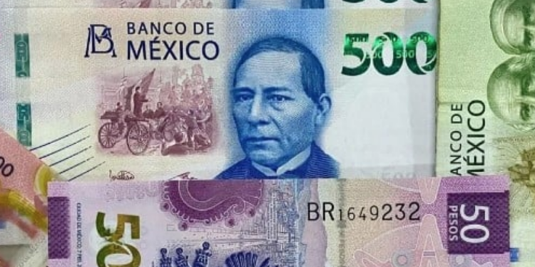 El MAM: Un legado de innovación y compromiso