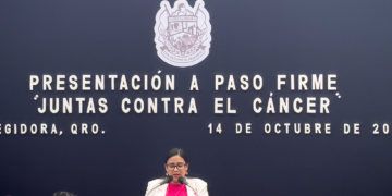 Habrá vigilancia permanente en límites con Gto