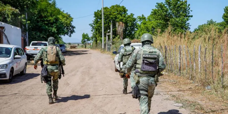 Identifican a 12 de los 19 sicarios abatidos en enfrentamiento tras la captura de ‘el MAX’ en Sinaloa