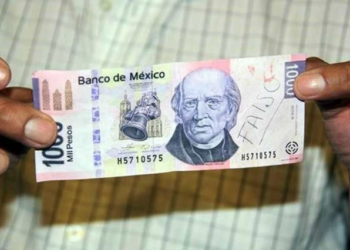 Autosuficiencia  en maíz blanco