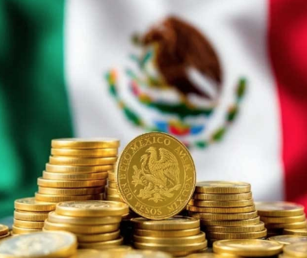 Pierde industria del vestido 20  mil empleos por contrabando