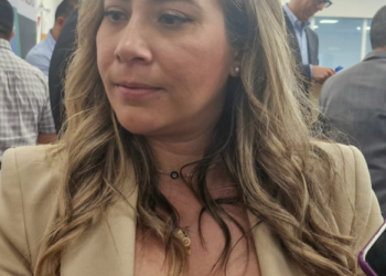 Para proyecto energético nacional es necesario que entren los privados