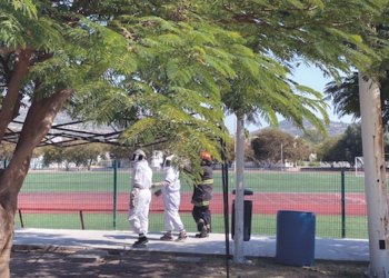 Atacan abejas a 30 deportistas