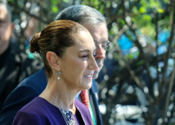 Sheinbaum propone en el G20 destinar el 1% del gasto militar a programa de reforestación