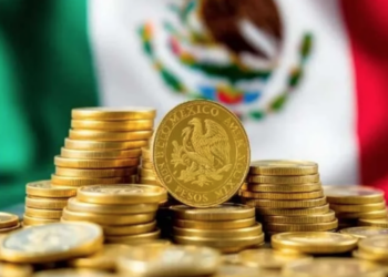 Que presupuesto apoyará a Pemex