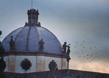 Amplían refrendo 2024 hasta enero de 2025