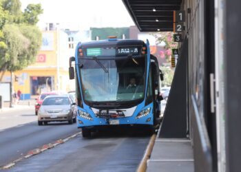 AMEQ amplía el periodo de Refrendo 2024 hasta enero de 2025