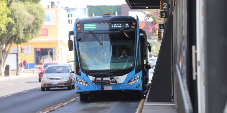 AMEQ amplía el periodo de Refrendo 2024 hasta enero de 2025