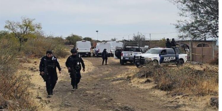 Fuerzas de Seguridad abaten a ocho presuntos sicarios en Guanajuato