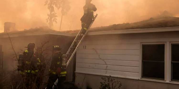 Trump califica de “incompetentes” a políticos a cargo de los incendios en Los Ángeles