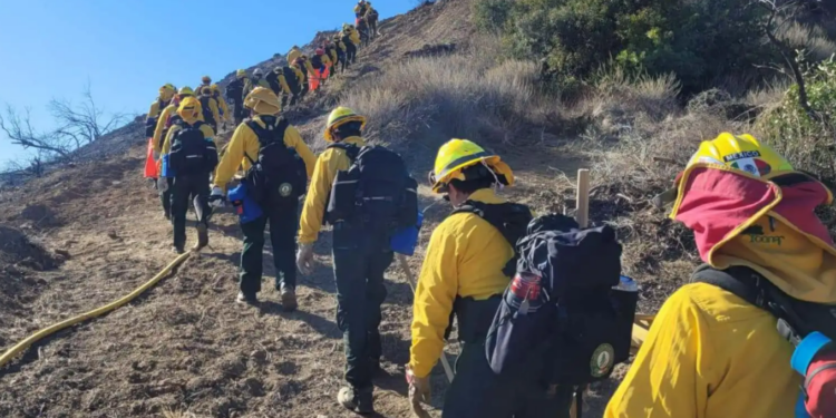 Delegación mexicana ya combate incendios en Los Ángeles