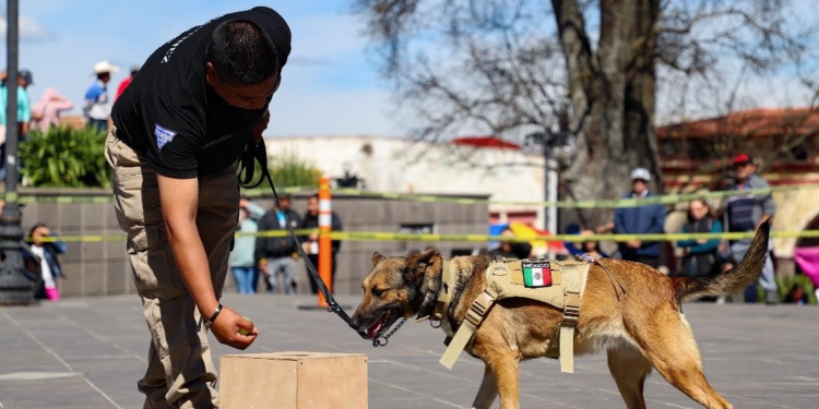 Valora Chepe Guerrero traer scooters a Corregidora
