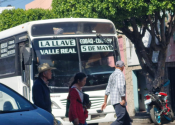 Combaten maltrato animal en San Juan