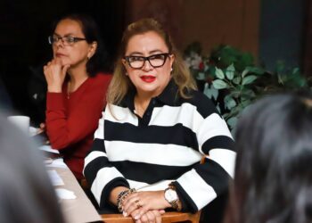 Olinia ayudará a que más personas compren autos eléctricos, señala AMDA