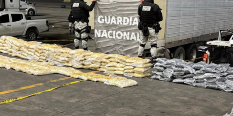 Guardia Nacional decomisa más de media tonelada de drogas en cruce con EU