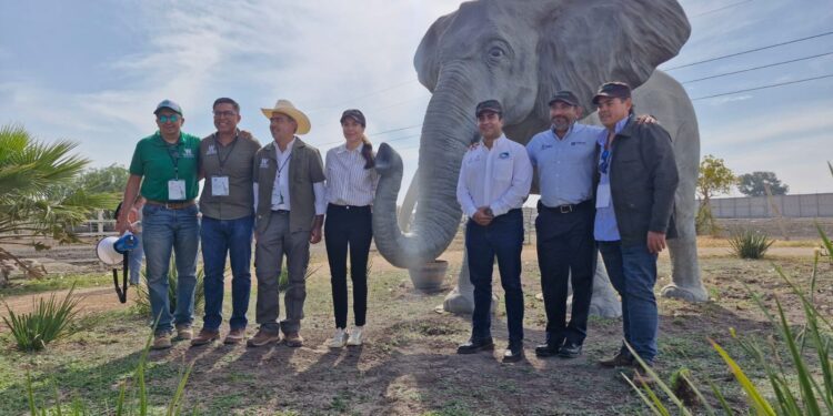 Arrancan intervención del Nuevo Wamerú, abrirán el 21 de marzo