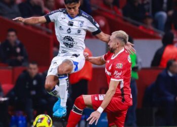 Apalea Toluca a Gallos