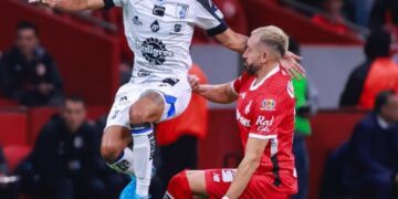 Apalea Toluca a Gallos