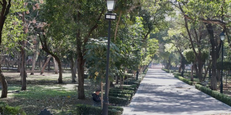 Alumbrado de la Alameda Hidalgo lleva 10 por ciento de avance