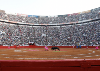 Sheinbaum afirma que corridas de toros sin violencia son “un avance”