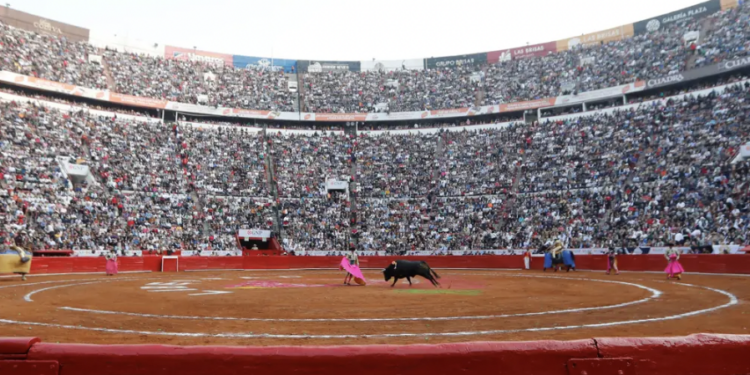 Sheinbaum afirma que corridas de toros sin violencia son “un avance”