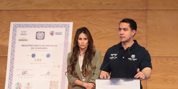 Echarán a andar en la capital censo y registro de animales de compañía