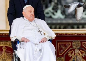 Papa Francisco reaparece ante fieles con motivo del Domingo de Ramos